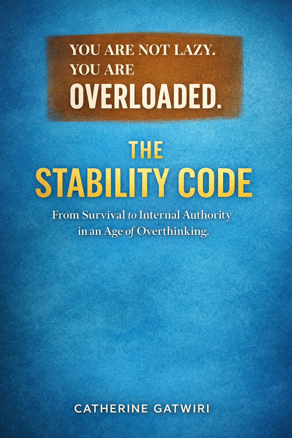 The Stability Code book cover